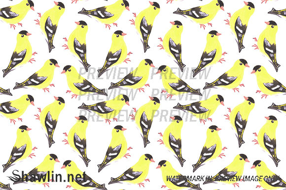 American Goldfinch Watercolor